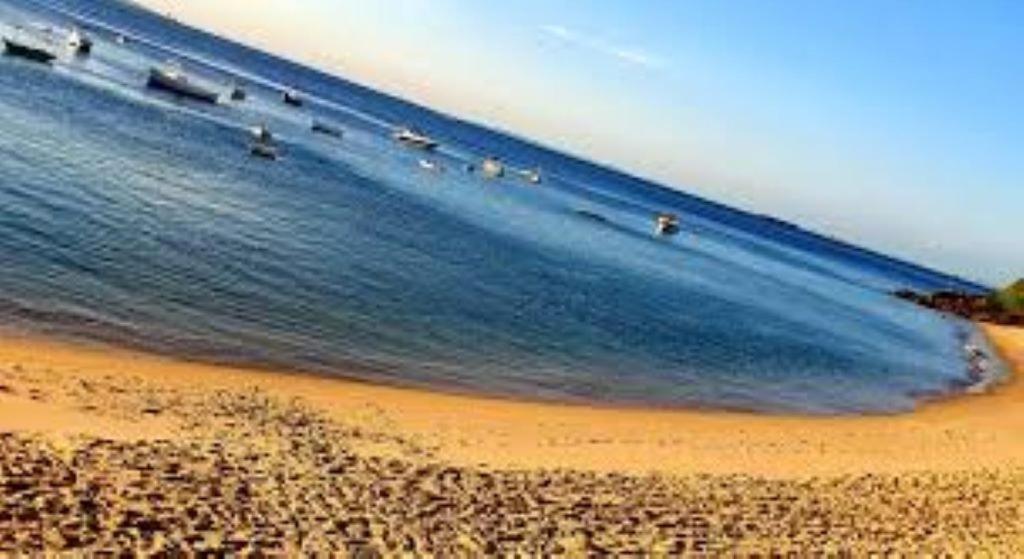 Maravilhoso Apartamento 2 Quartos Com Ofuro Porto Da Barra Summer Barra Flat * Salvador